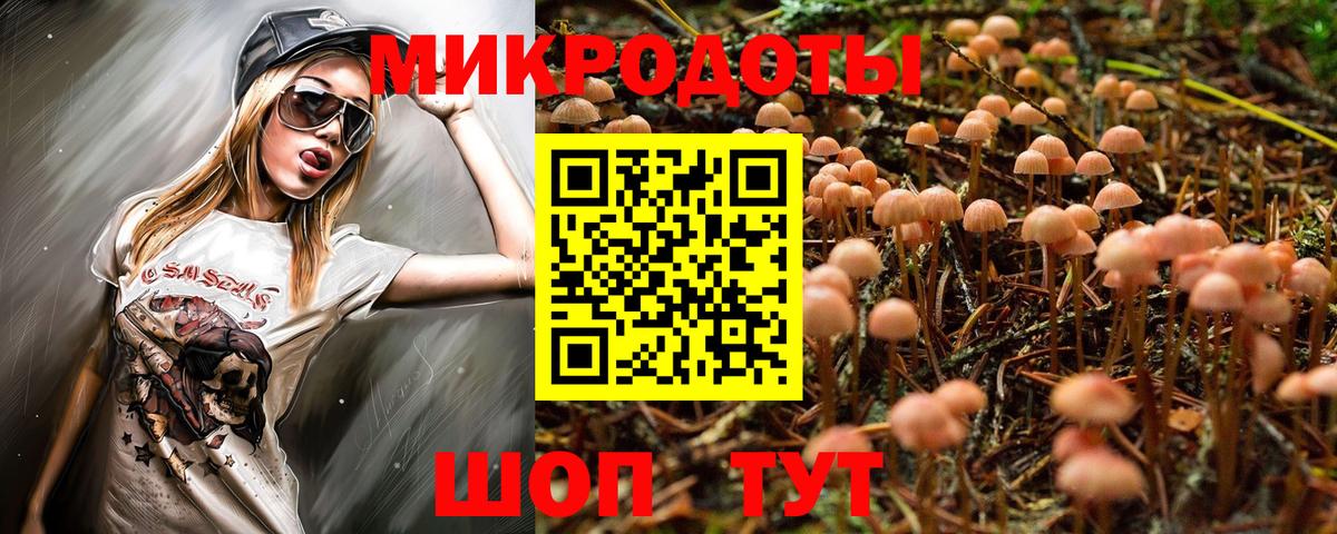 Псилоцибиновые грибы Magic Shrooms  Вход с VPN  купить  цена  Кудымкар 