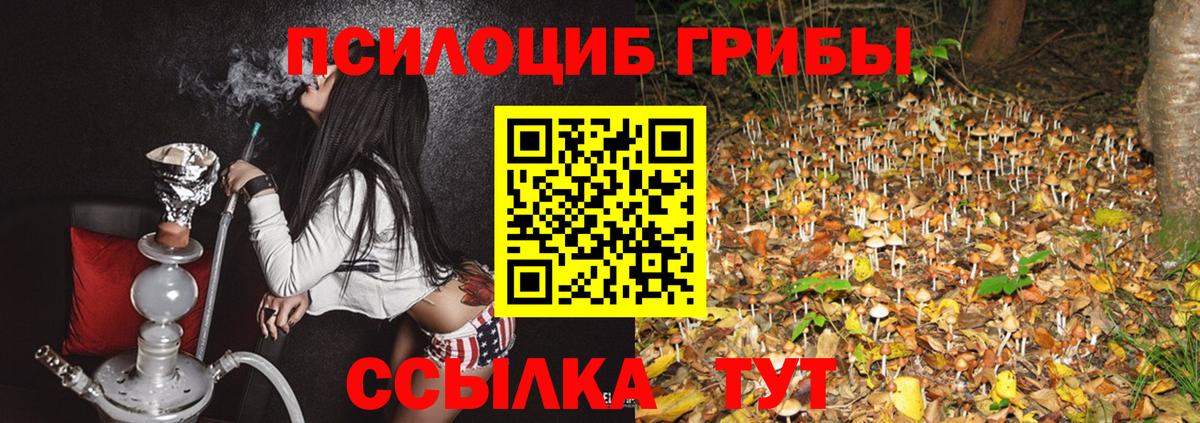 Псилоцибиновые грибы Magic Shrooms Кудымкар