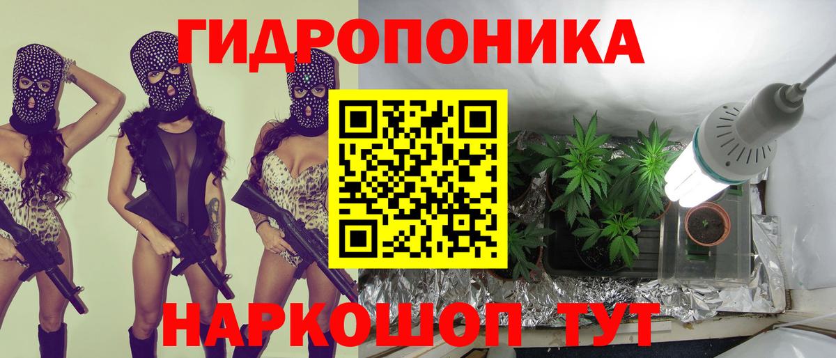 Конопля Bruce Banner Кудымкар